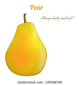 Pear on white background with space for your text, vector illustration