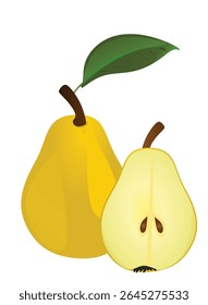 Pear on white background, vector	