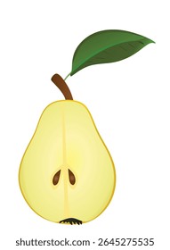 Pear on white background, vector	