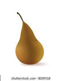 Pear on white with a soft shadow. An illustration.