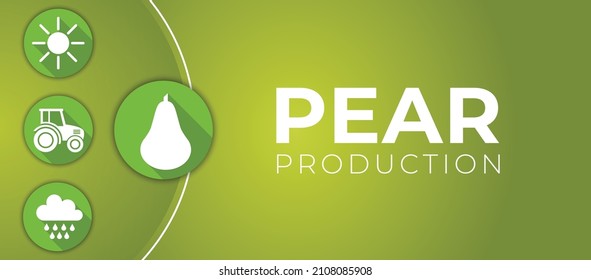 Pear Production Banner Illustration Design Background