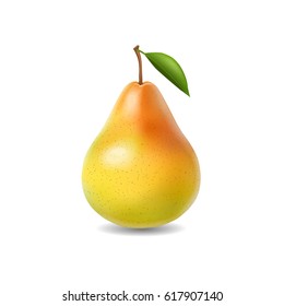 Pear realistic isolated illustration