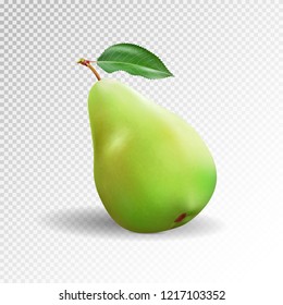 Pear realistic. Vector 10EPS. Green pear, punching bag, punching ball, punchbag, punchball. 3d illustrattion