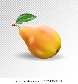 Pear realistic. Vector 10EPS. pear, punching bag, punching ball, punchbag, punchball. 3d illustrattion