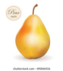 Pear realistic. Vector 10EPS. pear, punching bag, punching ball, punchbag, punchball