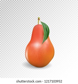 Pear realistic. Vector 10EPS. Red pear, punching bag, punching ball, punchbag, punchball. 3d illustrattion