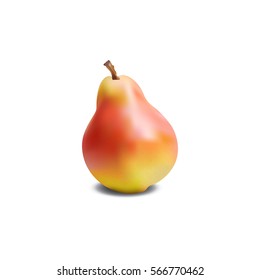 Pear realistic vector illustration on the white background