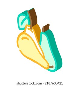 pear ripe fresh isometric icon vector. pear ripe fresh sign. isolated symbol illustration