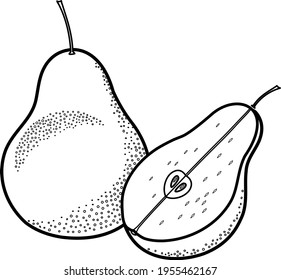 Pear. Ripe fruit and cut in half. Vector graphics. Black contour.