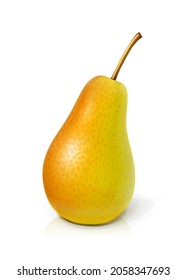 Pear. Ripe, juicy fruit, Isolated on white background. Eps10 vector illustration.