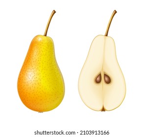 Pear. Ripe, juicy fruit, Isolated on white background. Eps10 vector illustration.