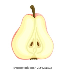 Pear rug.Vector summer fruit isolated on white background.