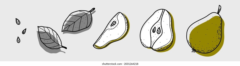 Pear set. Abstract modern set of icons made of a whole pear, halves, slices, leaves and seeds. For web, print, product design, logo. Doodle, line, contour. Vector hand-drawn flat illustration.