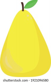 Pear set fruits vector icon isolated cartoon healthy food vitamin