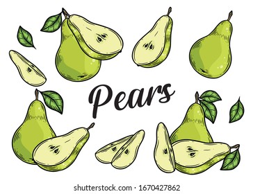 Pear set. Hand drawn pears vector illustration isolated on white background.