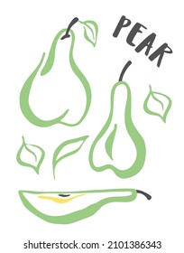 Pear set hand painted with ink brush isolated on white background
