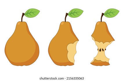 Pear. Set of vector illustration of yellow whole and bitten pear fruit.