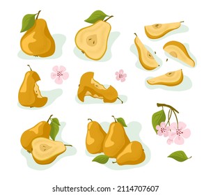 Pear. Set: whole fruit, half, pieces, bitten, leaves and flowers. Vector isolated on a white background.