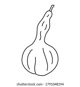 Pear shaped pumpkin in doodle style.  Isolated outline. Hand drawn vector illustration in black ink on white background. Great for  coloring books. Farming garden theme.