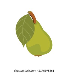 Pear. A single pear that is green. Illustration in the vector format