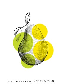 pear in sketch style, vector illustration