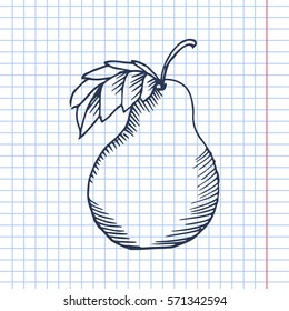 pear sketch. vector