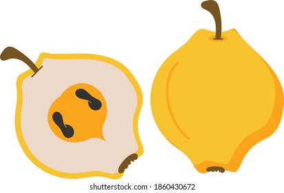 Pear with Slice Concept Vector Color Icon Design, Tropical exotic fruit shape on white background