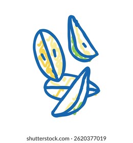 pear slice food cut doodle icon sketch vector. pear slice food cut sign. isolated symbol illustration