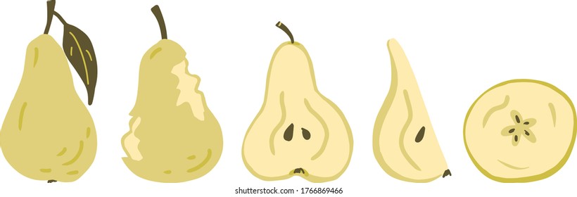 Pear, pear slice, half of pear, bitten pear vector clipart set hand drawn childish flat style isolated on white background.