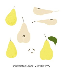 Pear slice seed. Summer fruits textured. Hand drawn organic vector illustration