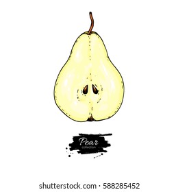 Pear slice vector drawing. Isolated hand drawn object on white background.  Summer fruit artistic style illustration. Detailed bright vegetarian food. Great for label, poster, print