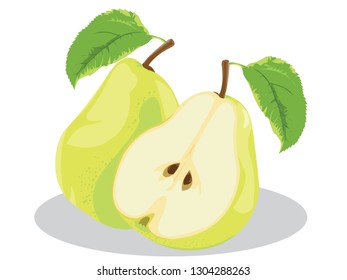 pear slices illustration in white background