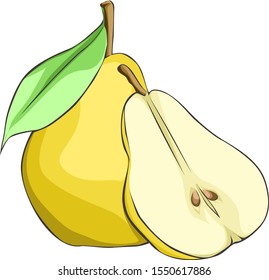 Pear tasty fruit vector illustration