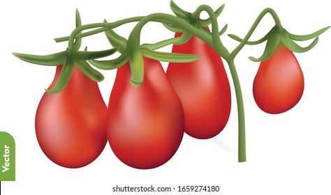Birnen Tomaten auf dem Reben. 3d-realistische Vektorillustration von Gemüse auf isoliertem Hintergrund.