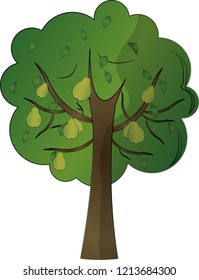 Pear tree cartoon