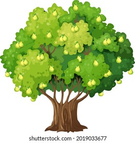 Pear tree in cartoon style isolated on white background illustration