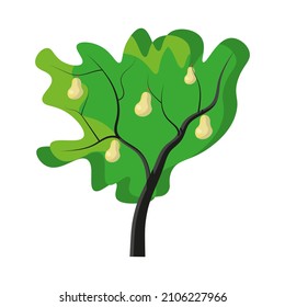 Pear tree flat simple illustration, suitable for books, nursary education materials.