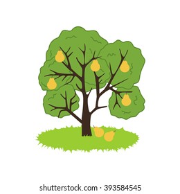 Pear Tree Icon on the white background. Vector illustration
