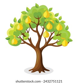 Pear tree Isolated flat vector illustration