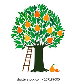 Pear tree isolated on White background. Vector illustration