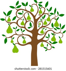 Árbol de pera aislado en el fondo blanco. Ilustración vectorial