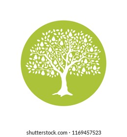 Pear Tree, Logo Icon