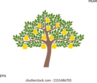 Pear tree logo. Isolated pear tree on white background