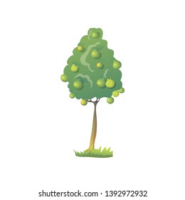Pear tree Many green pears on the tree. Vector illustration.