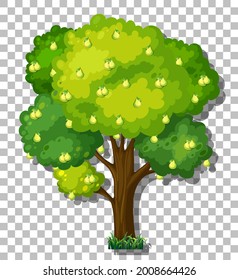 Pear tree on transparent background illustration