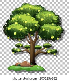 Pear tree on transparent background illustration