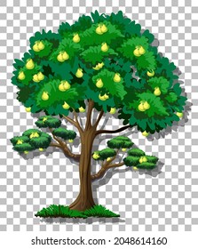 Pear tree on transparent background illustration
