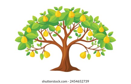 
Pear tree outline isolated flat vector illustration on white background