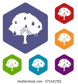 Pear tree with pears icons set rhombus in different colors isolated on white background