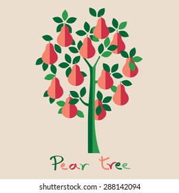 Pear tree. Pink pears vector illustration.